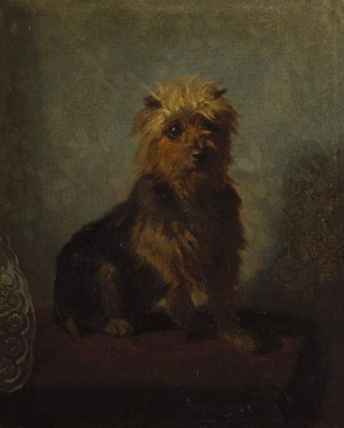 Chadwick's Dog by Abbott Handerson Thayer