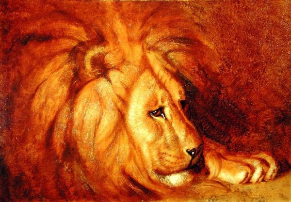 Lion At Rest by Abbott Handerson Thayer Oil Painting Reproductions