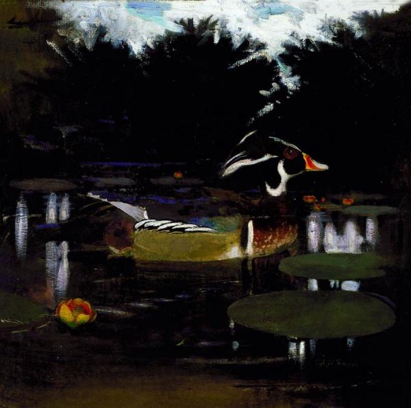 Male Wood Duck In A Forest Pool by Abbott Handerson Thayer Oil Painting Reproductions