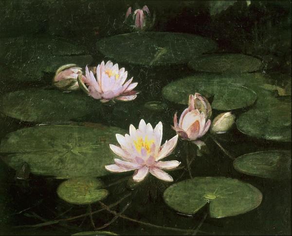 Waterlilies by Abbott Handerson Thayer Oil Painting Reproductions