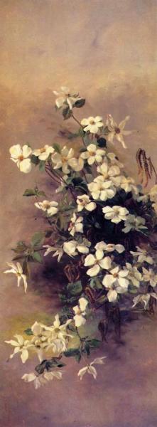 Abby Williams Hill Madrone, Dogwood And Elderberry (ii)