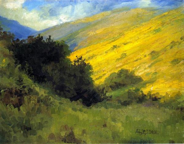 Abby Williams Hill Niguel Canyon: Wild Mustard