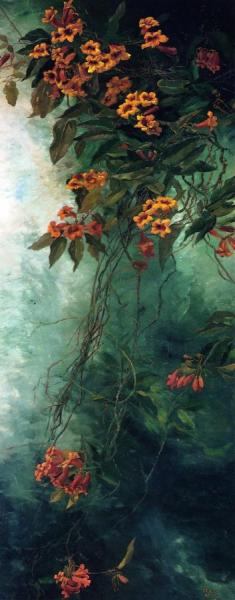 Abby Williams Hill Trumpet Creeper
