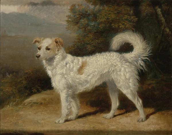 A Spaniel In A Landscape by Abraham Cooper