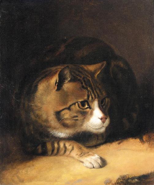 Tom The Tabby Cat by Abraham Cooper
