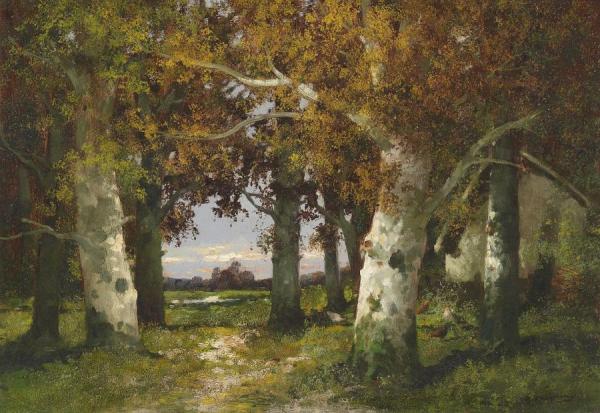 Forest Landscape by Adolf Kaufmann