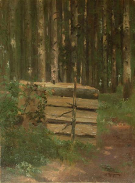 Pile Of Wood In The Forest by Adolf Kaufmann