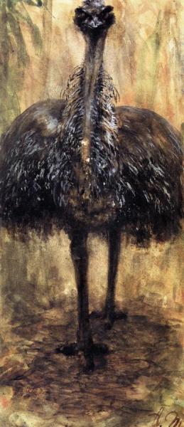 Cassowary by Adolph Von Menzel