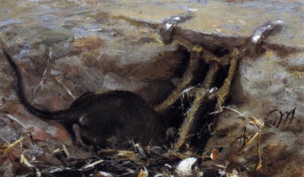 Rat In The Gutter by Adolph Von Menzel