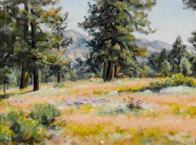 Mountain Flowers In September, Thomas Mountain, 1945 by Agnes Pelton