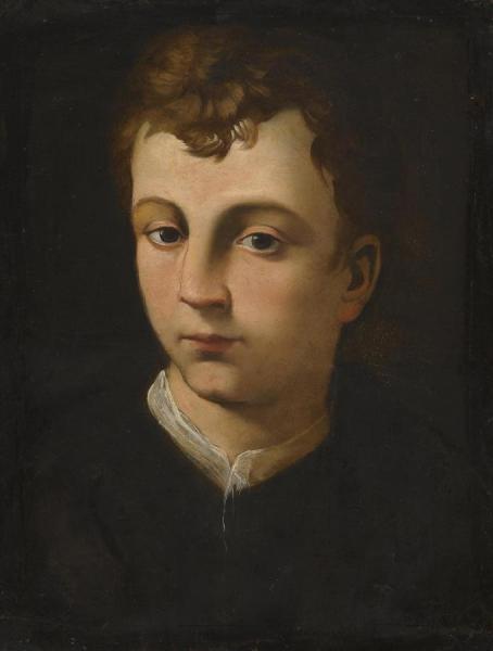 Portrait Of A Boy by Agnolo Bronzino Oil Painting Reproductions