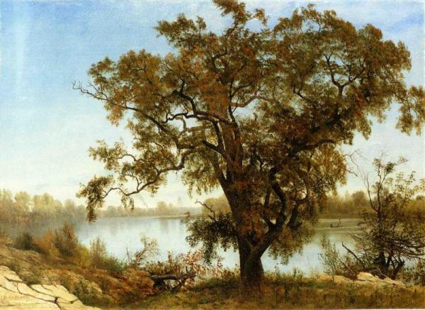 A View From Sacramento by Albert Bierstadt
