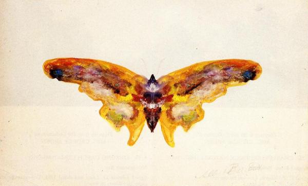 Butterfly by Albert Bierstadt