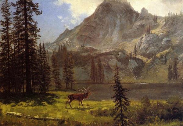 Call Of The Wild by Albert Bierstadt