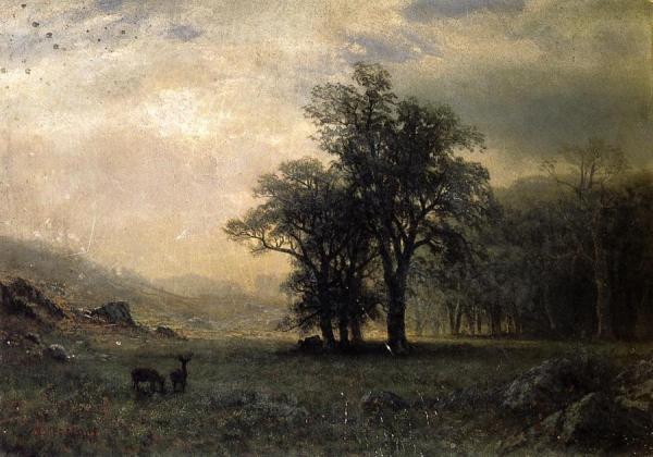 Deer In A Landscape by Albert Bierstadt