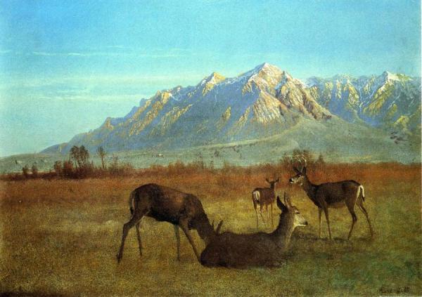 Deer In A Mountain Home by Albert Bierstadt
