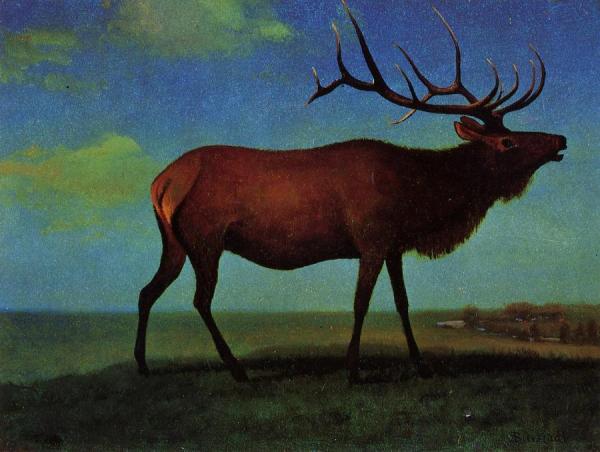 Elk by Albert Bierstadt
