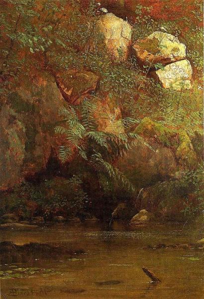 Ferns And Rocks On An Embankment by Albert Bierstadt