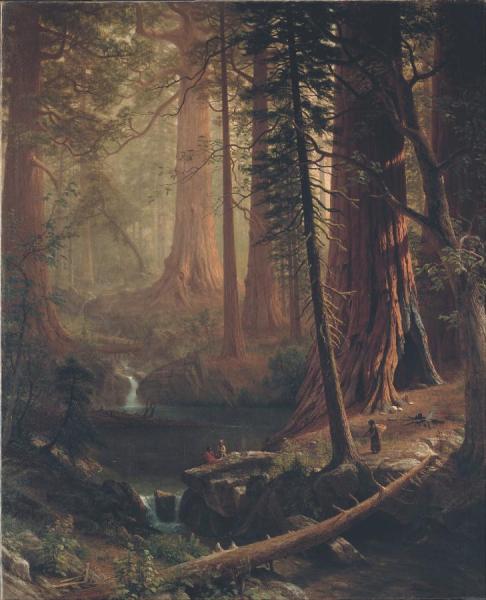Giant Redwood Trees Of California by Albert Bierstadt