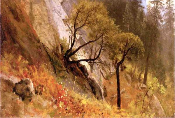 Landscape Study: Yosemite, California by Albert Bierstadt