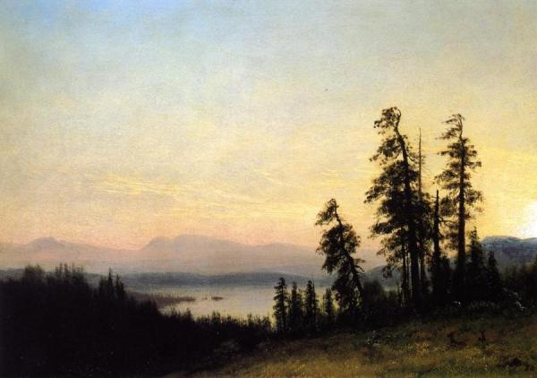 Landscape With Deer, View Of Estes Park, Colorado by Albert Bierstadt
