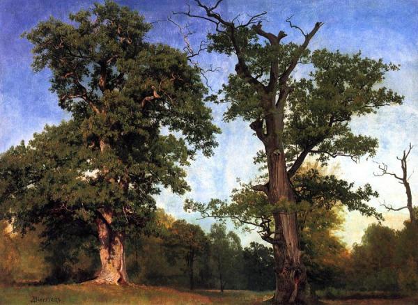 Pioneers Of The Woods by Albert Bierstadt