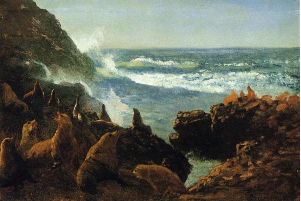 Sea Lions, Farallon Islands by Albert Bierstadt