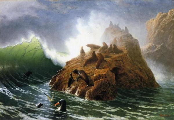 Seal Rock by Albert Bierstadt