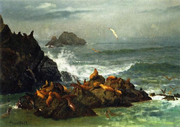 Seal Rocks, Pacific Ocean, California by Albert Bierstadt