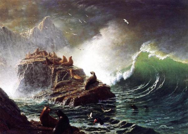 Seals On The Rocks, Farallon Islands by Albert Bierstadt