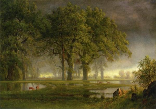 Sunglow by Albert Bierstadt