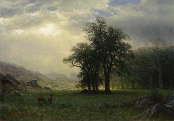 The Open Glen by Albert Bierstadt Oil Painting Reproductions