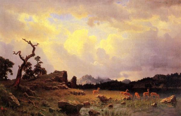 Thunderstorm In The Rocky Mountains by Albert Bierstadt Oil Painting Reproductions