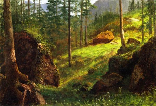 Wooded Hillside by Albert Bierstadt