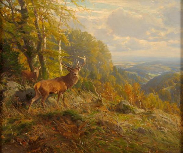 Deer by Albert Holz