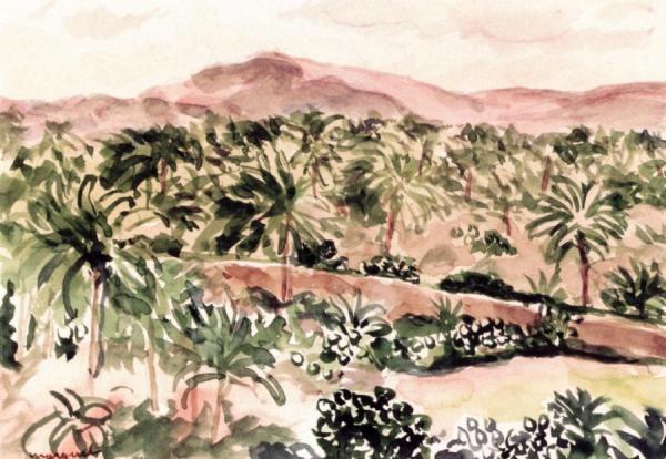 Palm Trees In Algeria by Albert Marquet