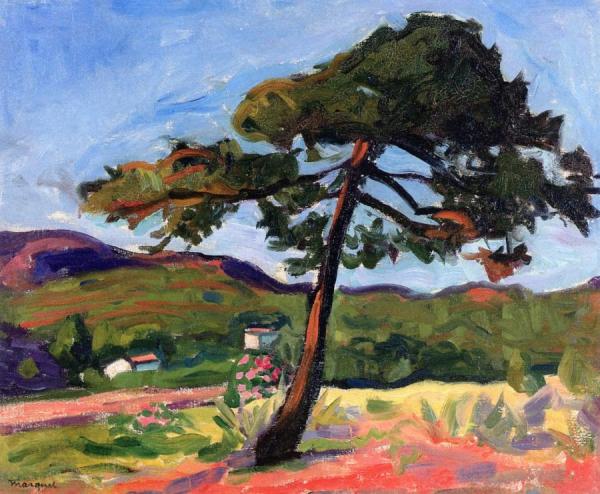 Pine, St. Tropez by Albert Marquet
