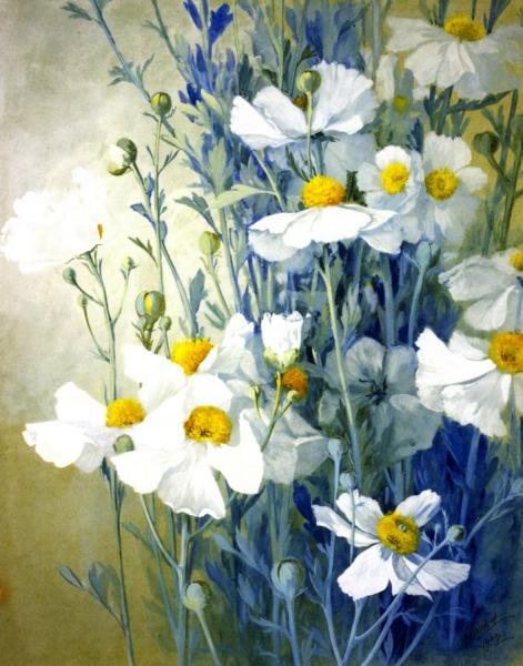 Matalija Poppies by Albert R. Valentien
