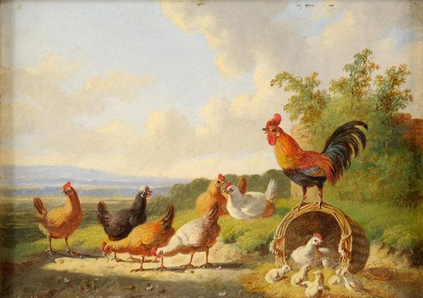 A Watchful Eye by Albertus Verhoesen