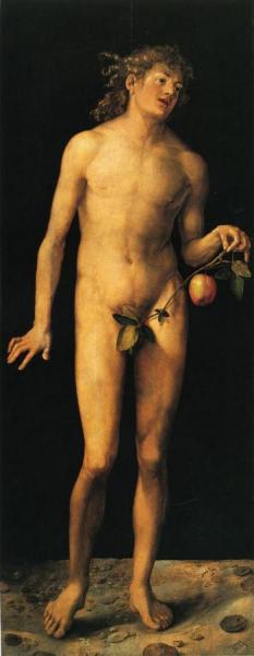 Adam by Albrecht Dürer
