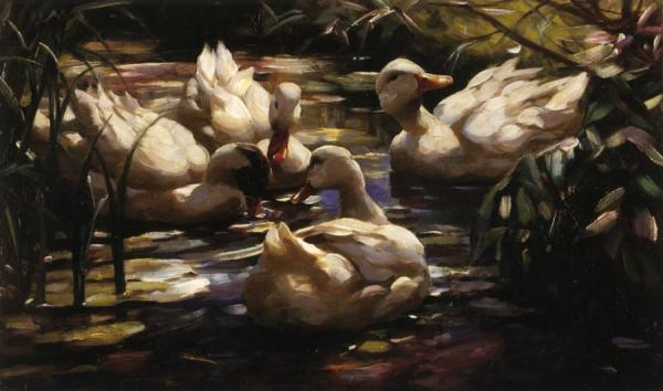Alexander Koester Ducks In A Forest Pond