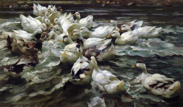 Alexander Koester Ducks In A Pond