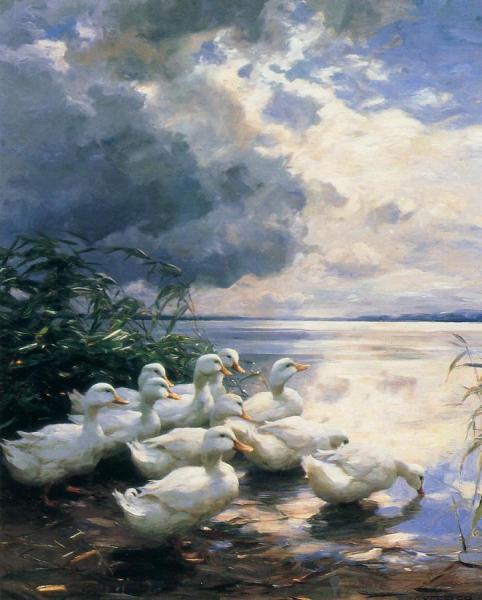 Ducks In The Morning by Alexander Koester Oil Painting Reproductions