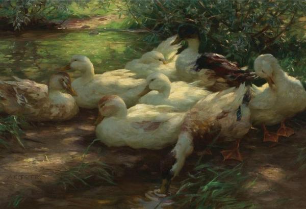 Alexander Koester Eight Ducks On The Riverbank