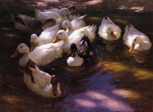 Alexander Koester Eleven Ducks In The Morning Sun