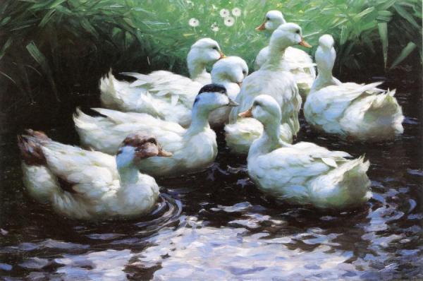 Alexander Koester To The Shore