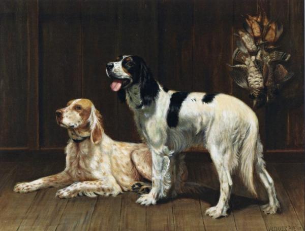 Alexander Pope A Pair Of Setters