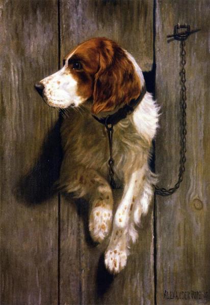 At The Kennel Door by Alexander Pope