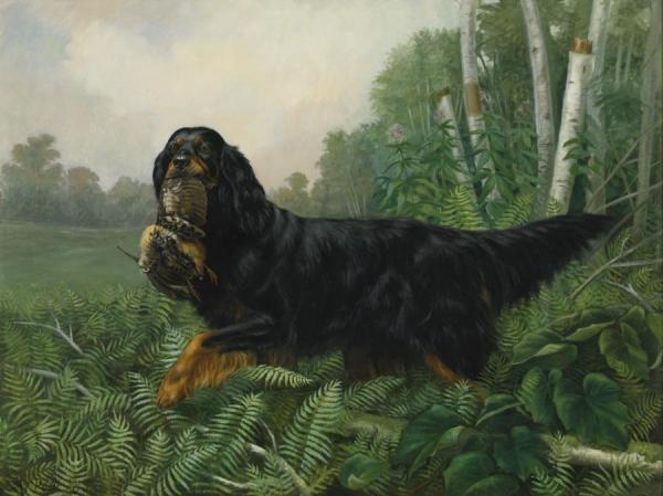 Alexander Pope Gordon Setter In A Landscape
