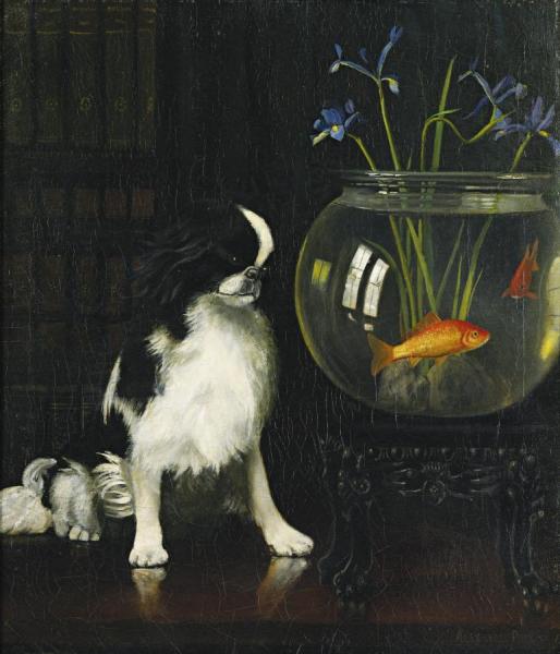 Japanese Chin And Goldfish by Alexander Pope